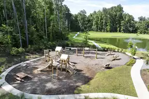 417 Tulip Poplar Dr, Moncks Corner, SC 29461 - Photo 39