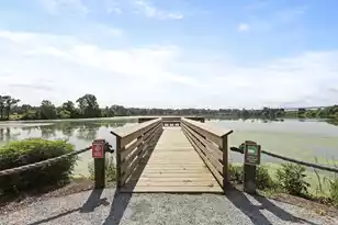 417 Tulip Poplar Dr, Moncks Corner, SC 29461 - Photo 3