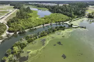 417 Tulip Poplar Dr, Moncks Corner, SC 29461 - Photo 43