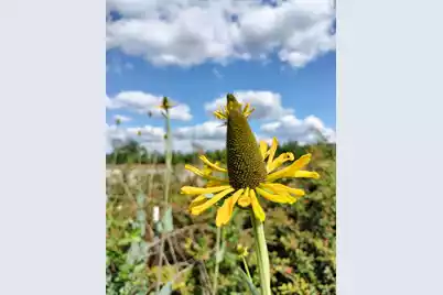 1014 Fire Hill Road, Walterboro, SC 29488 - Photo 141