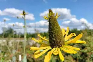 1014 Fire Hill Rd, Walterboro, SC 29488 - Photo 141