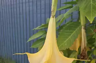 1014 Fire Hill Rd, Walterboro, SC 29488 - Photo 139