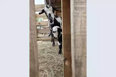 1014 Fire Hill Road, Walterboro, SC 29488 - Photo 149