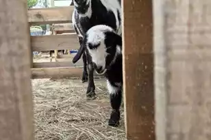 1014 Fire Hill Rd, Walterboro, SC 29488 - Photo 149