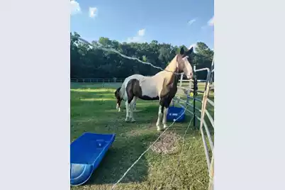 1014 Fire Hill Road, Walterboro, SC 29488 - Photo 143