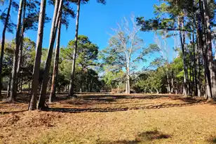 7997 Doar Rd, Awendaw, SC 29429 - Photo 1