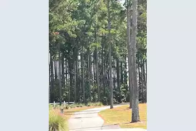 618 Hilchot Drive, Summerville, SC 29486 - Photo 33