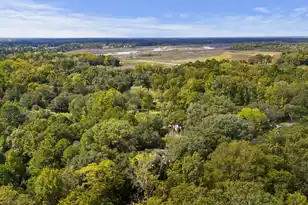 1095 Hughes Rd, Johns Island, SC 29455 - Photo 35