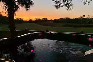 2907 Waterway Blvd, Isle Of Palms, SC 29451 - Photo 7