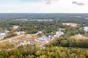 301 Livewell Ct Lot 39, Johns Island, SC 29455 - Photo 67