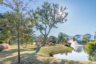 2336 Minifarm Wy, Mount Pleasant, SC 29466 - Photo 89