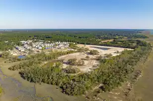 2336 Minifarm Wy, Mount Pleasant, SC 29466 - Photo 105