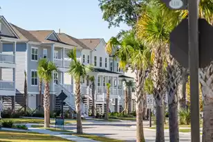 2336 Minifarm Wy, Mount Pleasant, SC 29466 - Photo 95