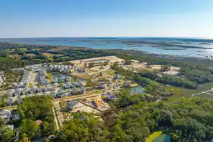 2336 Minifarm Wy, Mount Pleasant, SC 29466 - Photo 51