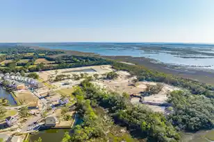 2336 Minifarm Wy, Mount Pleasant, SC 29466 - Photo 53