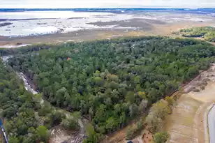 2336 Minifarm Wy, Mount Pleasant, SC 29466 - Photo 121