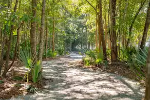 2336 Minifarm Wy, Mount Pleasant, SC 29466 - Photo 55