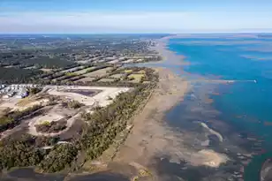 2336 Minifarm Wy, Mount Pleasant, SC 29466 - Photo 49