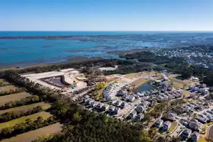 2336 Minifarm Wy, Mount Pleasant, SC 29466 - Photo 43