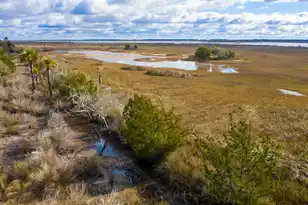 2336 Minifarm Wy, Mount Pleasant, SC 29466 - Photo 115