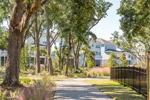 2336 Minifarm Wy, Mount Pleasant, SC 29466 - Photo 81