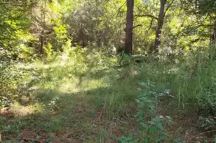 2814 Hwy 174, Edisto Island, SC 29438 - Photo 1