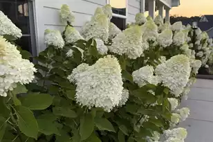 575 Pendleton Dr, Moncks Corner, SC 29461 - Photo 55