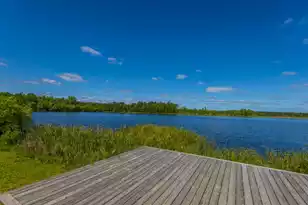 575 Pendleton Dr, Moncks Corner, SC 29461 - Photo 51