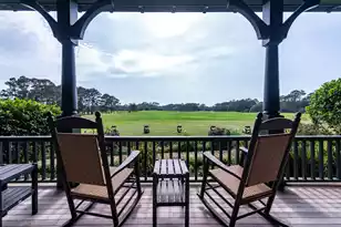 4265 Wild Turkey Way, Johns Island, SC 29455 - Photo 133