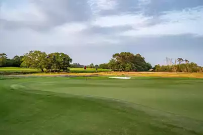 4265 Wild Turkey Way, Johns Island, SC 29455 - Photo 135