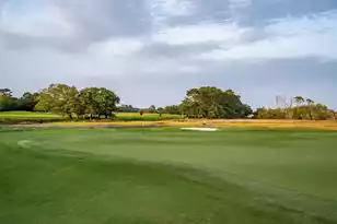 4265 Wild Turkey Way, Johns Island, SC 29455 - Photo 135