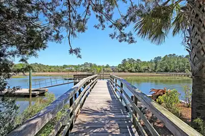 129 Palm Cove Way, Mount Pleasant, SC 29466 - Photo 77