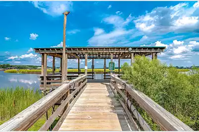 301 Morning Marsh Lane, Charleston, SC 29492 - Photo 99