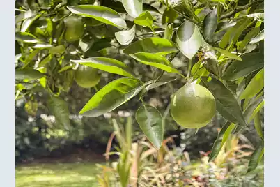 535 Wampler Drive, Charleston, SC 29412 - Photo 51