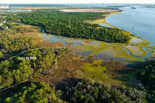 0 Haswell St, Daniel Island, SC 29492 - Photo 1