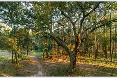 0 Haswell Street, Daniel Island, SC 29492 - Photo 7