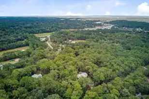 10088 Hercules Rd, McClellanville, SC 29458 - Photo 43