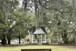 10088 Hercules Rd, McClellanville, SC 29458 - Photo 51
