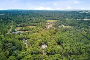 10088 Hercules Rd, McClellanville, SC 29458 - Photo 43