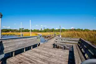 316 Anadale Ct, North Charleston, SC 29418 - Photo 67