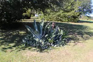 756 Santee River Rd, Santee, SC 29142 - Photo 47