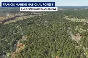 1213 Reserve Ln, Awendaw, SC 29429 - Photo 33