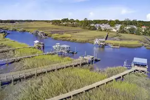 1393 Black River Dr, Mount Pleasant, SC 29466 - Photo 45