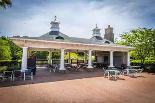 3221 John Bartram Pl, Mount Pleasant, SC 29466 - Photo 41