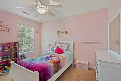 205 Sabal Palmetto Court, Moncks Corner, SC 29461 - Photo 61