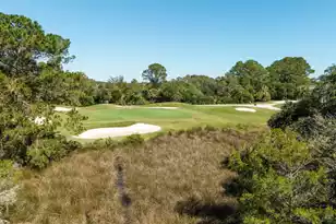 300 Kinloss Country Ln, Mount Pleasant, SC 29466 - Photo 35