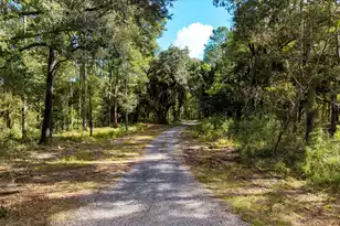 1020 Hidden Acres Path, Johns Island, SC 29455 - Photo 1