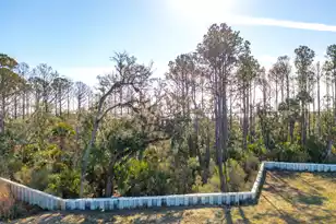 2276 Minifarm Wy, Mount Pleasant, SC 29466 - Photo 33