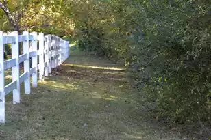 0 Chandler Rd, Greer, SC 29651 - Photo 7