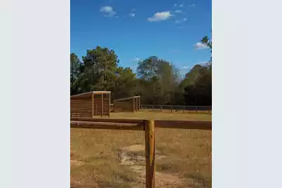 320 Henry Stabler Road, Swansea, SC 29160 - Photo 11